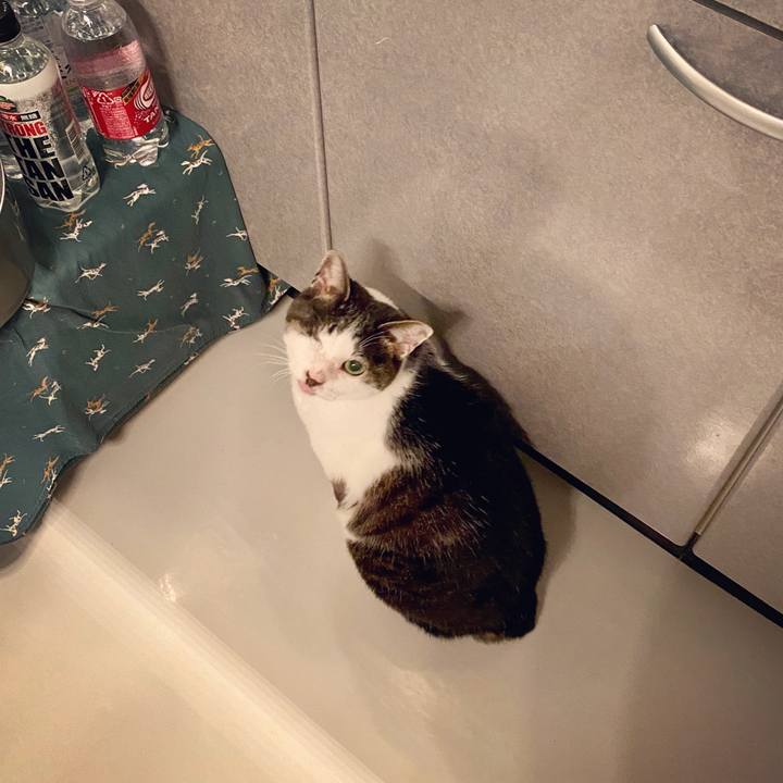 89ea4409 bfc9 4758 b482 9450707dbf94 1585934035717