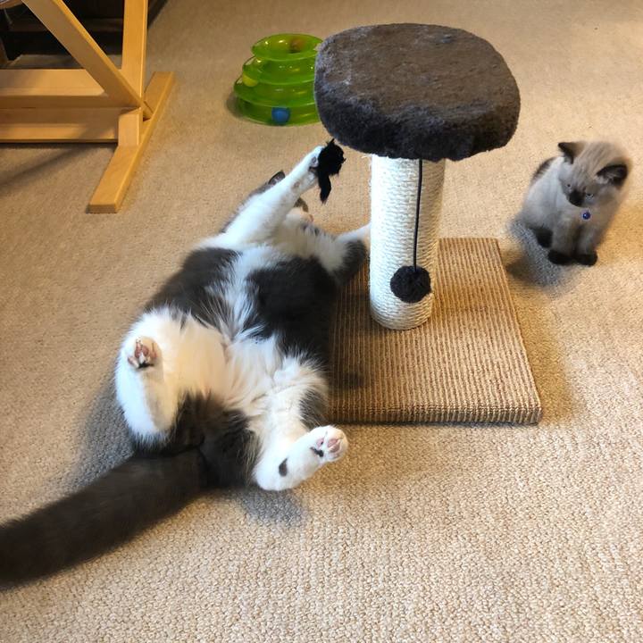 89ea5f85 f011 41bf 9006 9315810eef5c 1585529163913