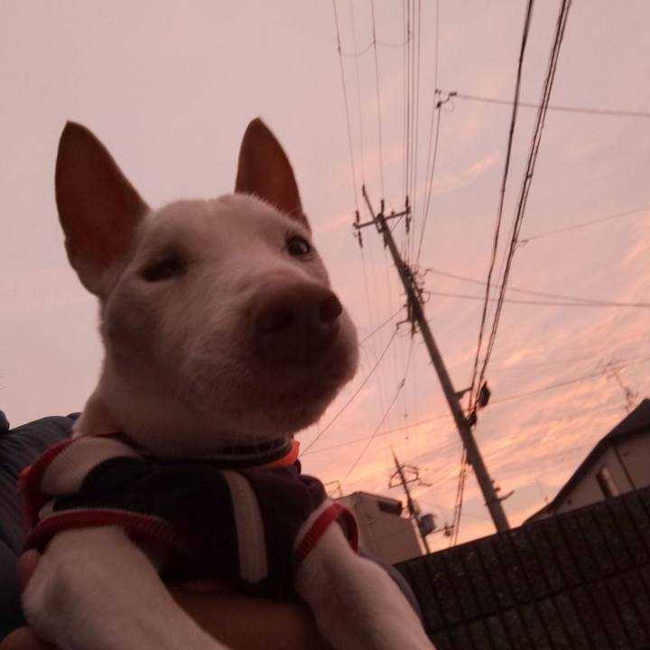 89eac628 8e81 4d1b a716 7ce65af290f6 1578348550696