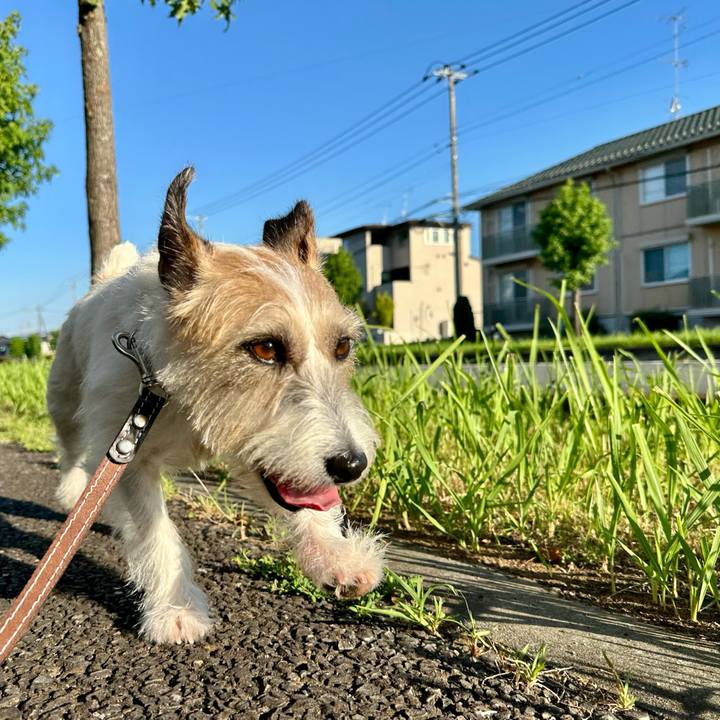 89eac731 072a 4062 9d46 2843eee59c9c 1753595956696