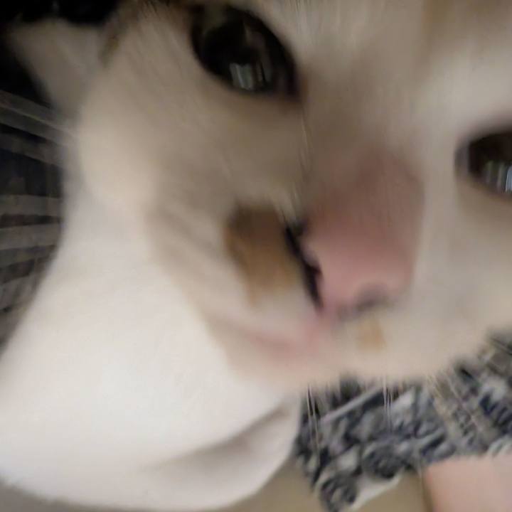 89eae2ff 99dd 4936 a338 7f4cb8da5f89 1749994220119