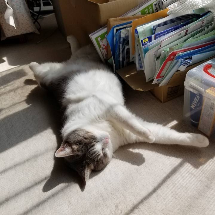 89eaeeac 08cc 438e 80ca 5b413823dffa 1629504895531