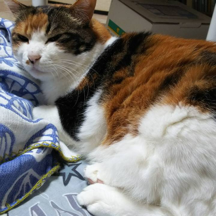 89eb1aa1 1386 4c44 9be3 6744c6cc2c86 1527712095070