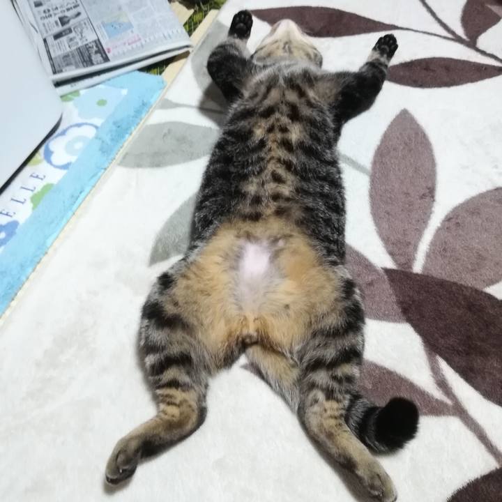 89eb4d35 90e9 4bf0 9737 e568b40965a6 1547552230207