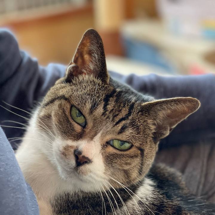 89eb5fd0 871f 4d7b 8afa 222710f33113 1650677058081