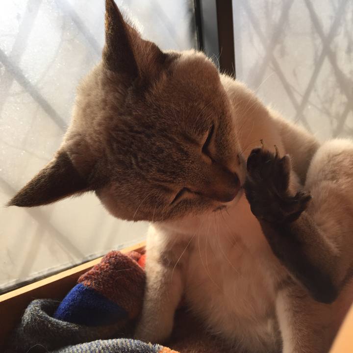 89eb76a3 b482 4da1 bd28 d8c5cb957349 1545194685288