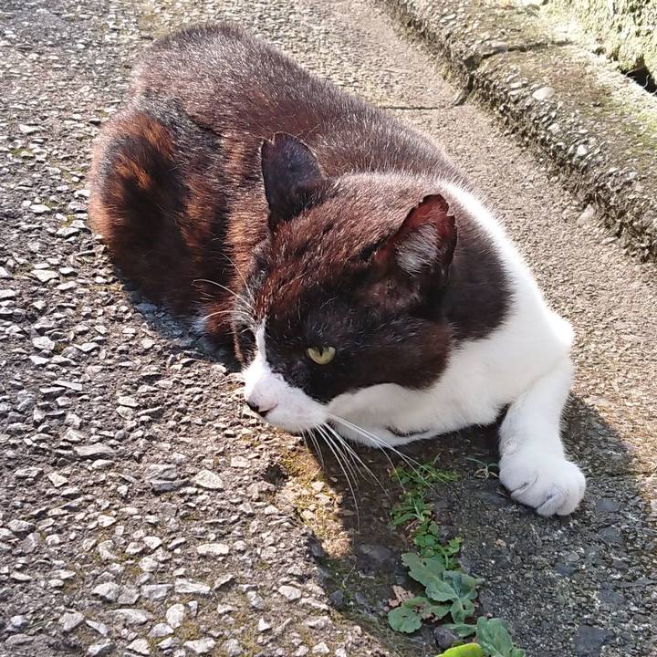 89eba231 531a 4557 9f8a 026812b9fd40 1689469545666