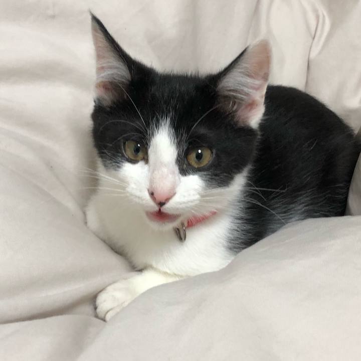 89ebb3cc c3c9 48f7 96c7 2d575e345775 1611580441884