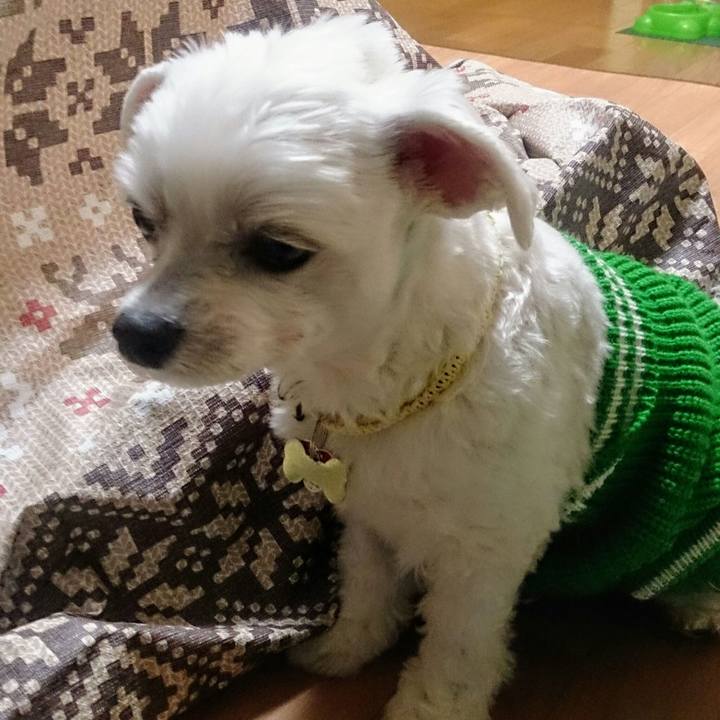 89ebc917 80c1 4fe9 ac37 d4e97a810c30 1513673371710