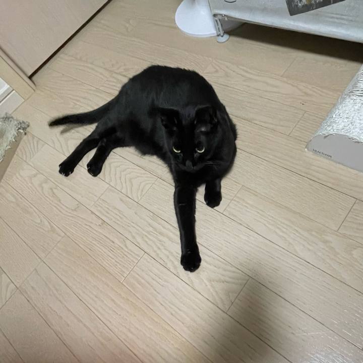 89ebd20f 4c0a 4c61 b944 db92826a8352 1763466866088