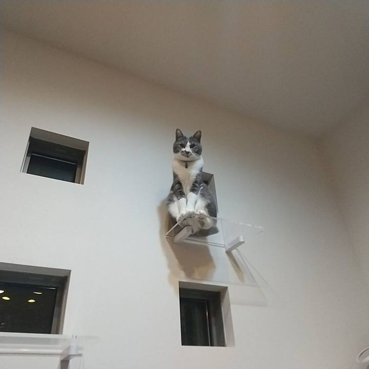 89ec0004 5d2a 4641 8623 545098b04365 1645394217329