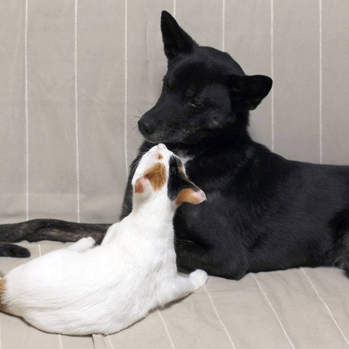 89ec01be 5458 4130 b0a3 06ea707e1314 1556712645927