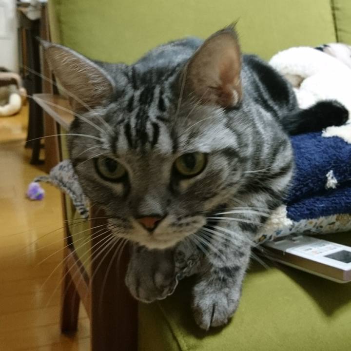 89ec0ec2 86ea 4a83 9bbd 8a513a0a2b27 1512394441165