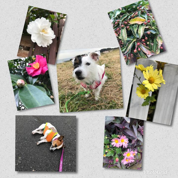 89ec1437 10bf 4aa5 bdc4 65d681326869 1510707613210