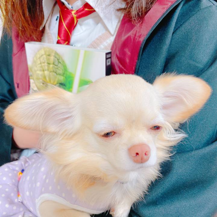 89ec691b 996d 4ba5 927f 8226dd89160a 1638499827177