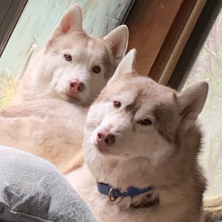 89ec6ee1 78f3 4525 9375 d74d64e4cfba 1609287717650