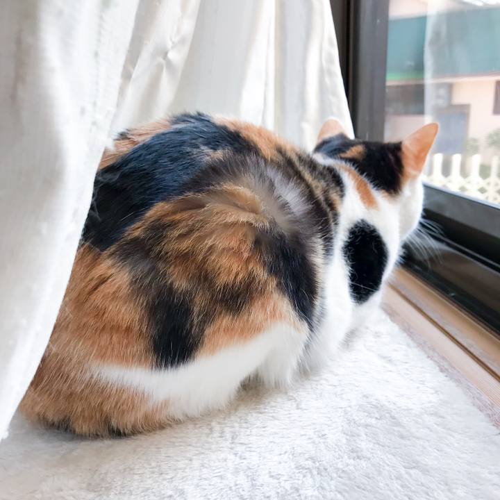 89ecae04 587f 4cb1 b5aa fad0d0b13a2f 1520558294109