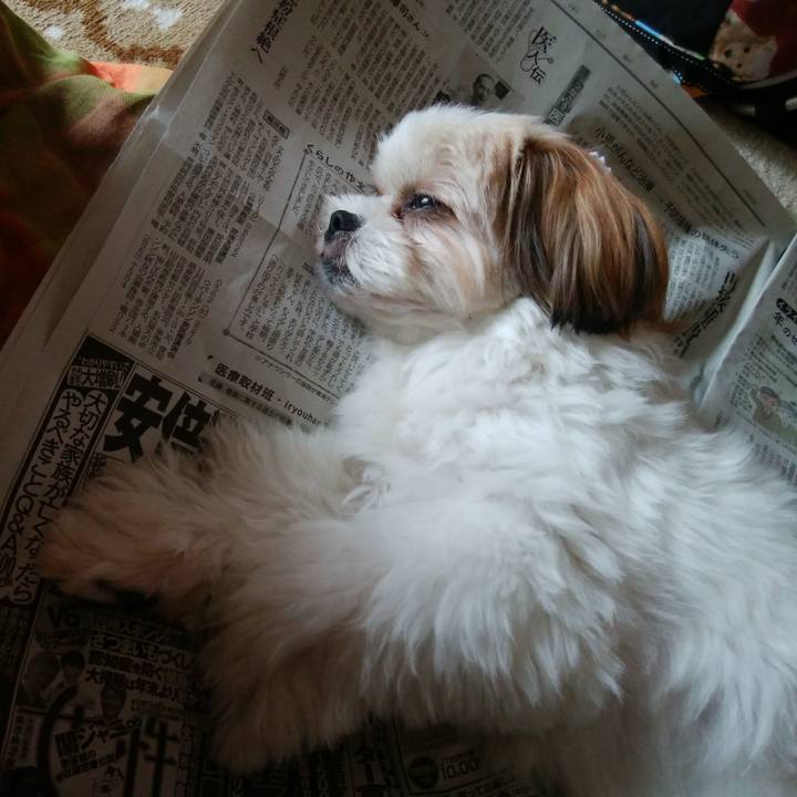 89ecbe73 a09e 4d65 bbd7 a3bbff53451b 1508824157116