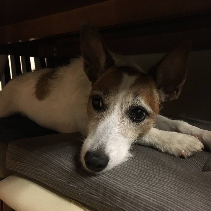 89ed4be7 68e7 4b74 a99a f7428fc0ac97 1634253889378