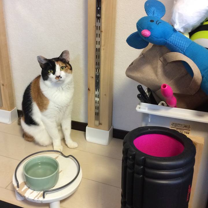 89ed5207 e886 4796 bf51 723bd59e2ae4 1576794177410