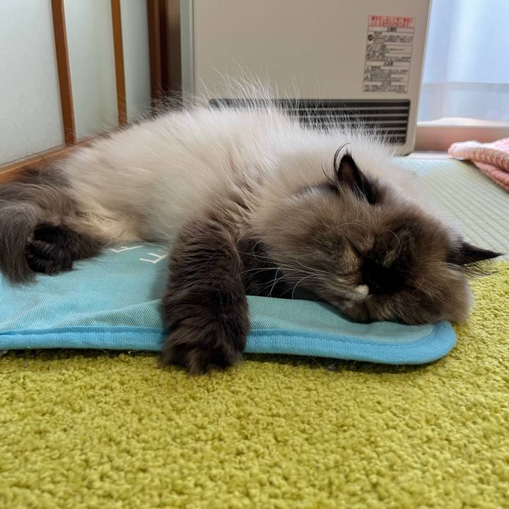 89ed97dd c37f 4892 bbf1 a62f18df59bd 1724847128303