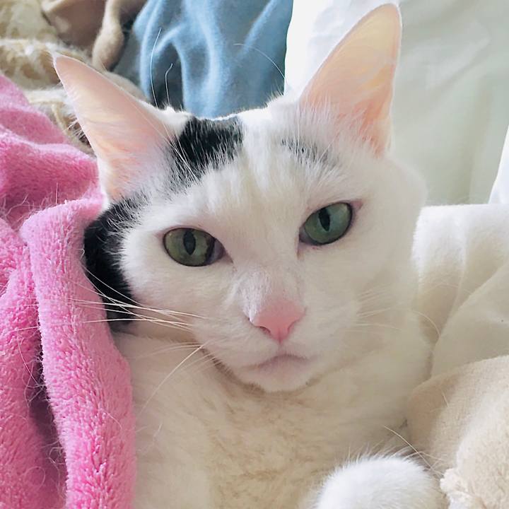 89edac9f ce64 4843 ad5f cf02495a090b 1584081575590