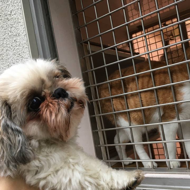 89edf8bd b303 4f92 8600 18f30a47a24a 1574654786464