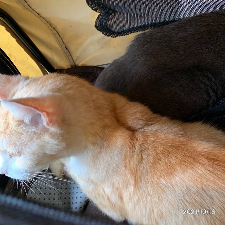 89ee0301 64b8 469c 8c00 1f268c17656f 1634346954243