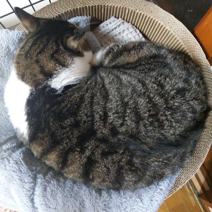 89ee5c8f bb7a 4c08 870d 9eefb13f70e9 1665048004983