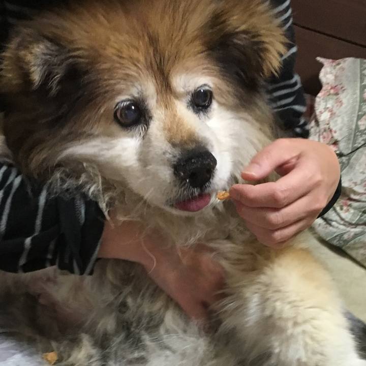 89ee7320 f4d4 45f8 a36b 4b060924c424 1589295197576