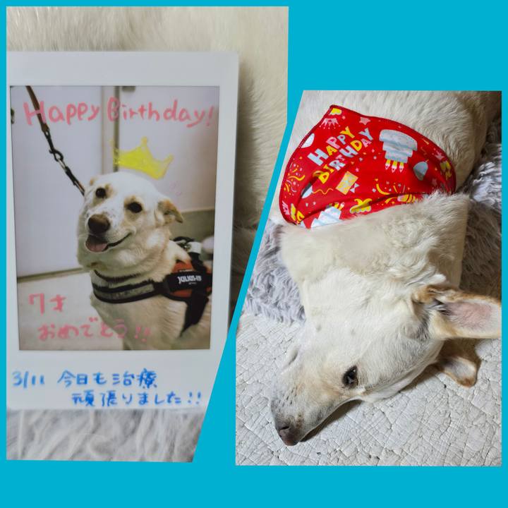 89ee7435 dd11 4680 ace0 e6169c708d72 1773238124205