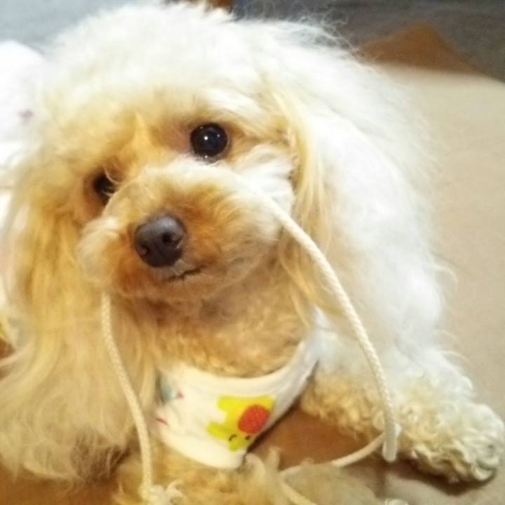 89ee77f1 43cc 4816 9a9b 54ccdde7ce0a 1535633776197