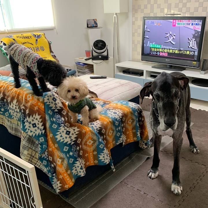 89ee9c7d 2bef 4b1e 8add 7cd59bfcb131 1605652454427