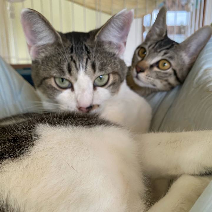 89eeaaf3 213c 4b9a ade8 a2e3e33774b1 1725507463373