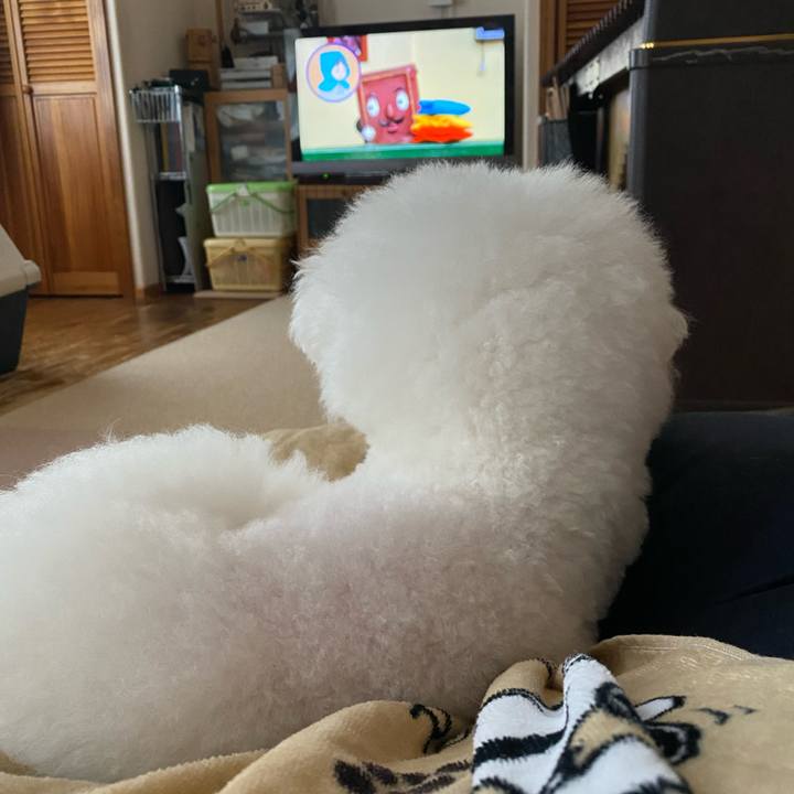 89eecaf0 4558 44a8 91af bee197d20c4f 1636354042683