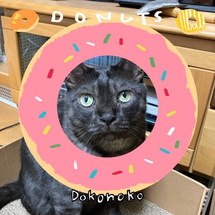 89eecdec 5350 42f7 9537 93f76dfd8221 1744333105597