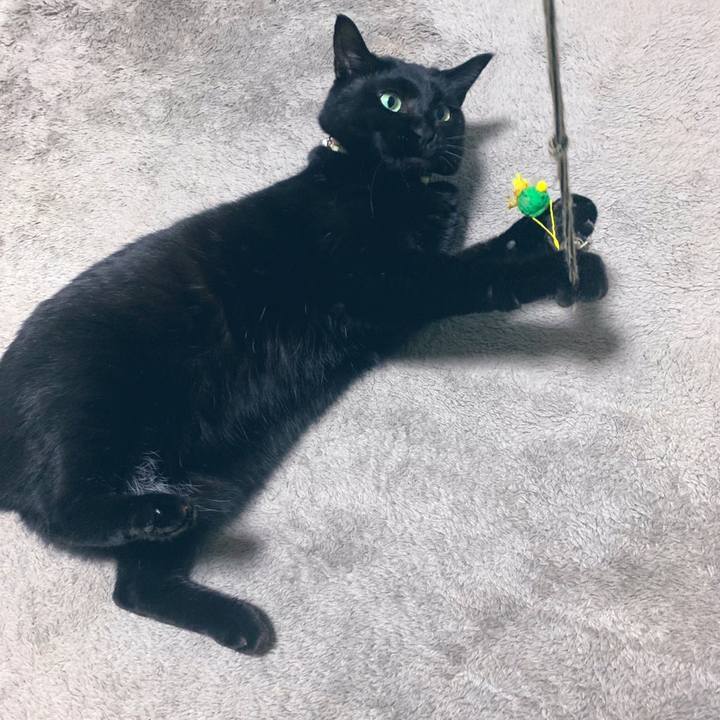 89eed72d 3f29 47c4 8e8c 8066d798fd3a 1575292233610