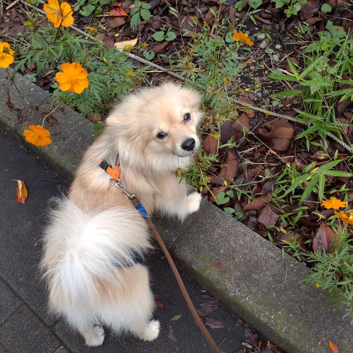 89ef7474 2814 4de6 bb65 8358b3c8b39c 1761521905783