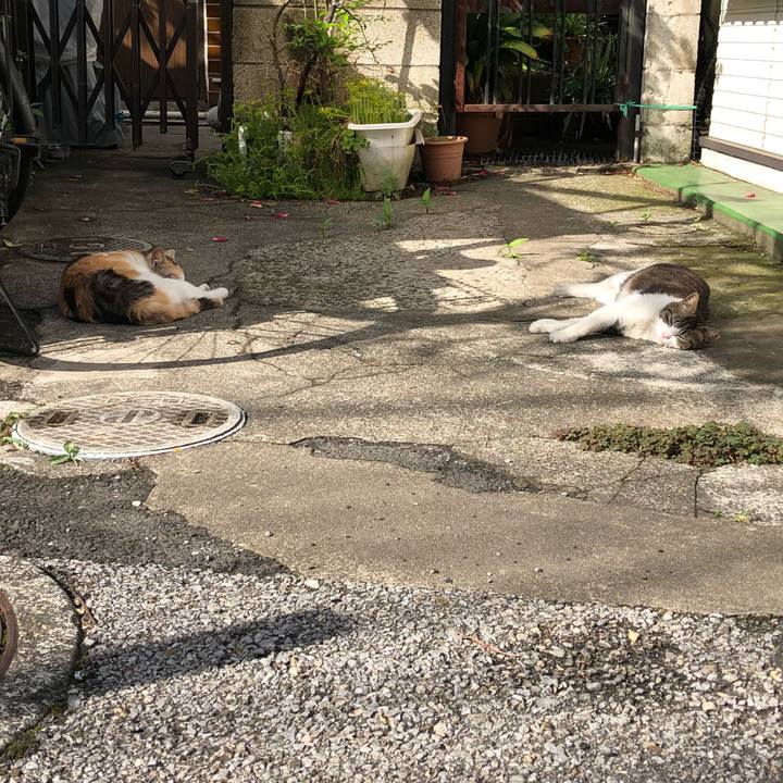 89ef92de d0f0 4f05 9636 ff4b3340c5c7 1524657106915