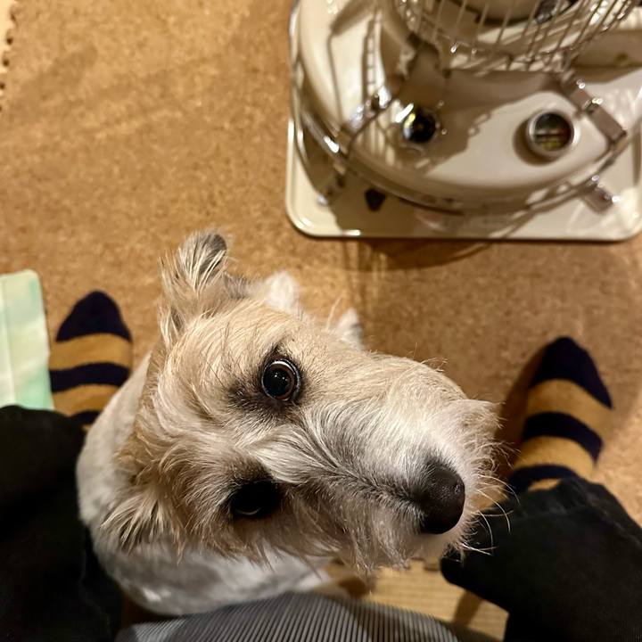 89efd42d 75e8 4580 a132 95e1158ae809 1700651112272