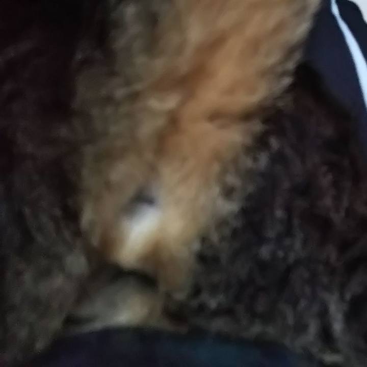 89f0445d 4863 4fca ad33 9da1dd0f4ffe 1616144302570