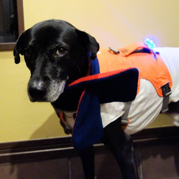 89f04da4 6f76 4d4d 9efd f54365519700 1735384037955