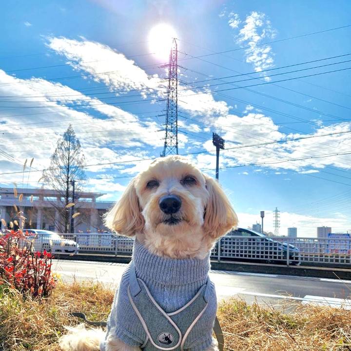 89f0541d c151 4bc3 a37a 1475f2e095db 1768280951098