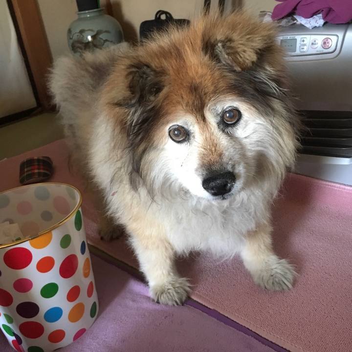 89f0776a d66a 408c bd78 cf5dba648ba3 1664066874487