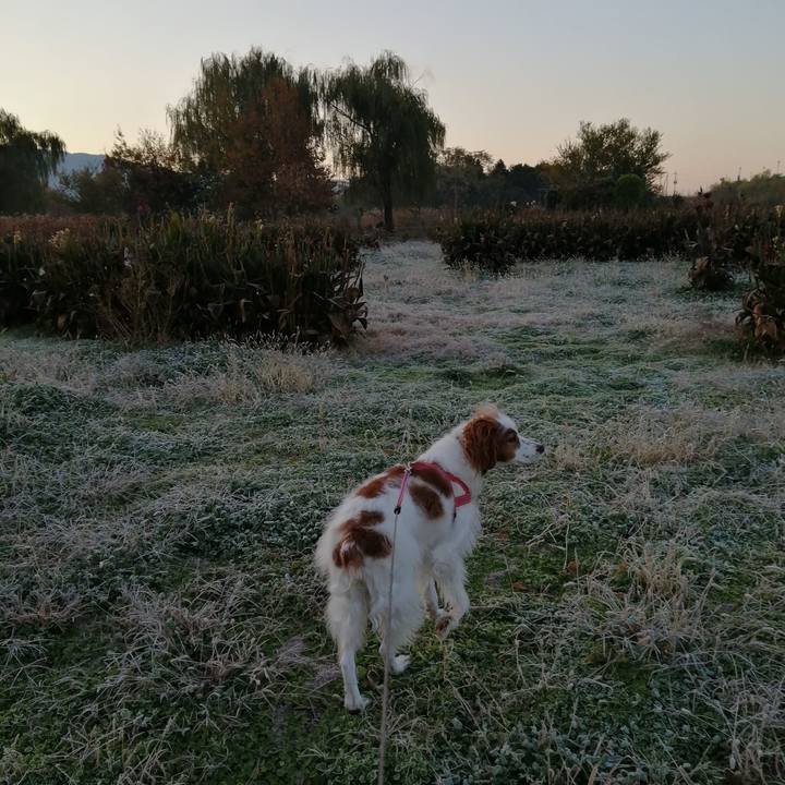 89f08c4e 521c 487f a099 12b7b816d31c 1607297230385