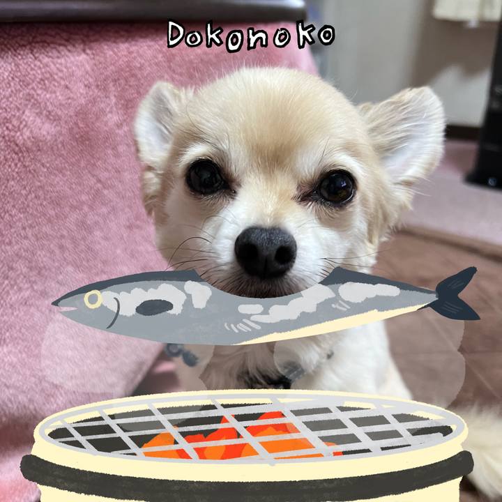 89f0ad14 d13b 44f2 923c 11141613b865 1761218051549