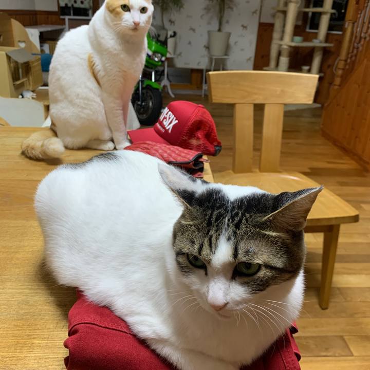 89f0ef7d 1031 47d0 a0a5 1c0bd9f49176 1667122446802