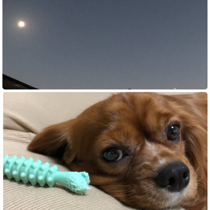 89f156b5 7edb 4bb1 87c7 1b01ce739a64 1540120893673