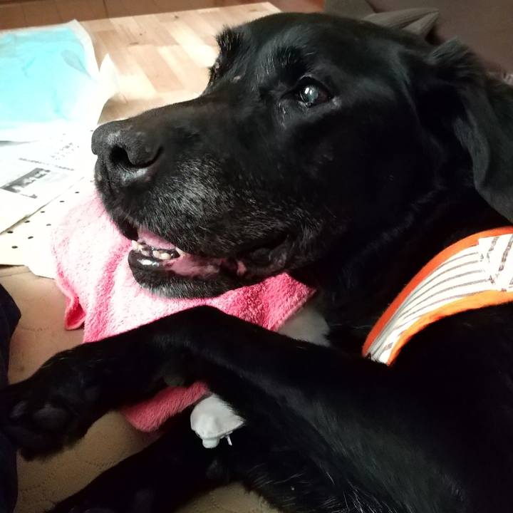 89f16842 585d 4b64 aab0 a46391ed96da 1714278245240