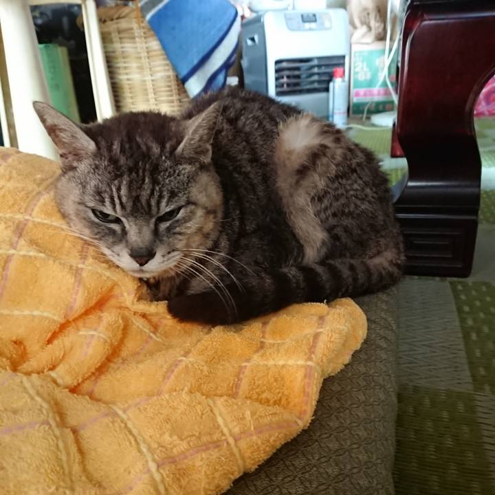 89f1c74d 79d2 4e3e 9590 e323bb24a296 1593467875220